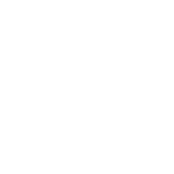 Globe With Lines
